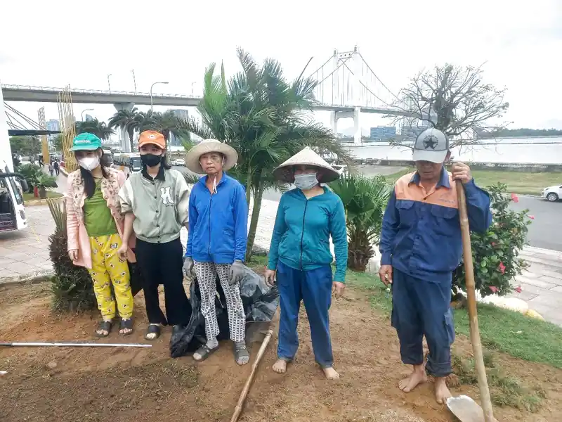 Kỹ thuật trồng cây và duy trì cây hoa thời vụ