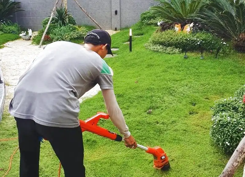 Dịch vụ chăm sóc cảnh quan tại Hội An